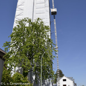 Der Turm weiß eingekleidet